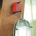 Alternate view