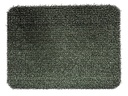 Alternate view