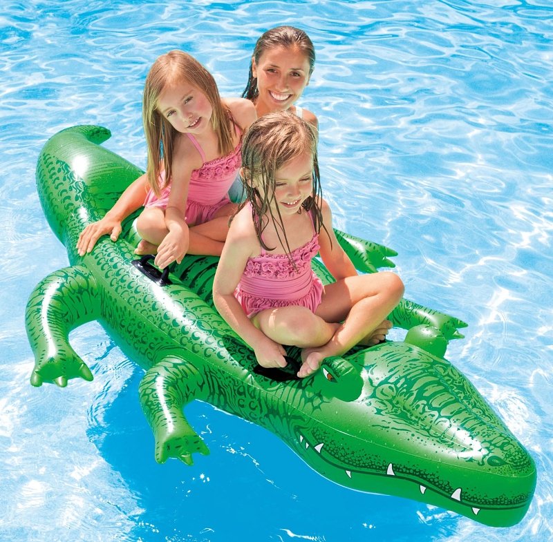 Alternate view
