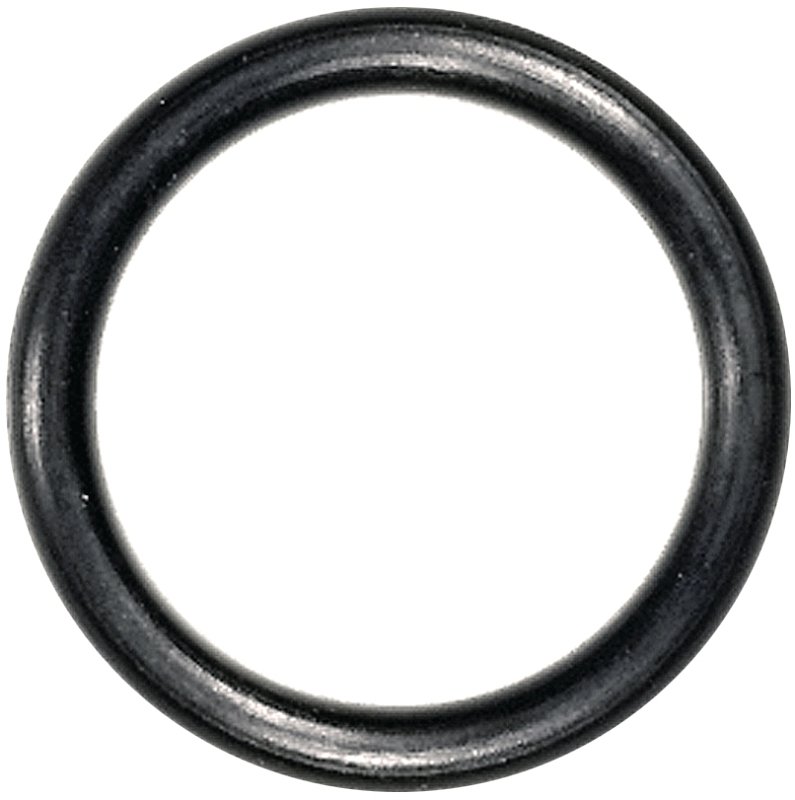 Alternate view