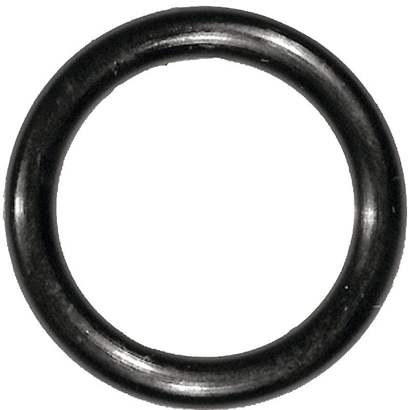 Alternate view