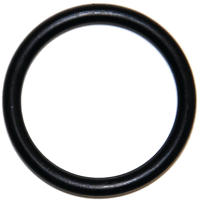 Alternate view