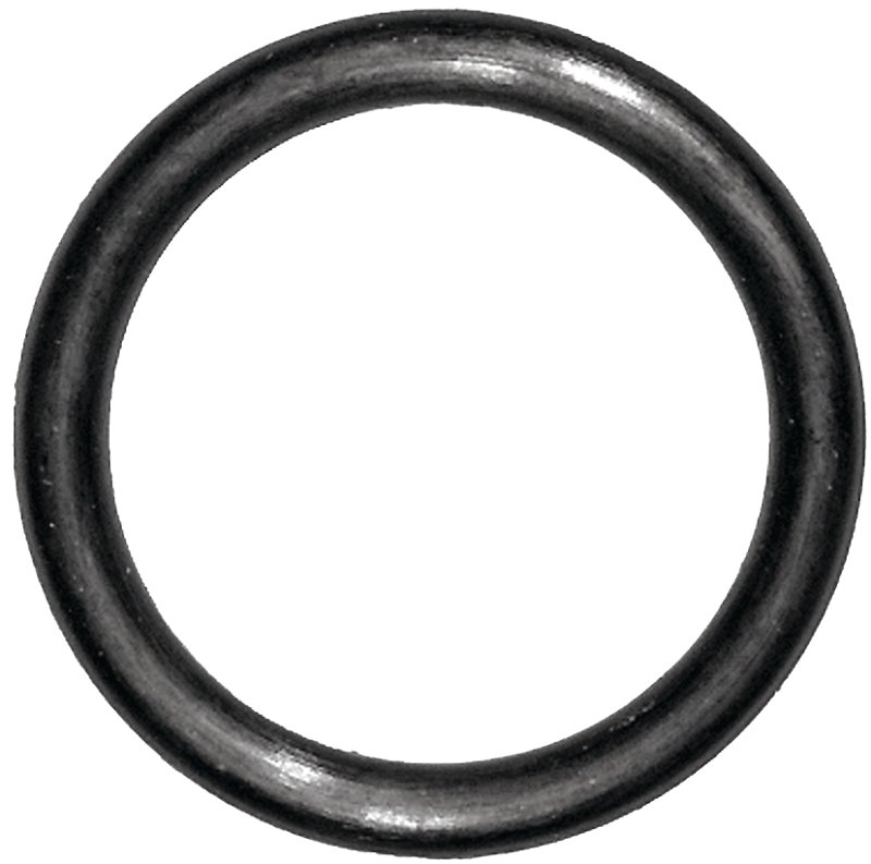 Alternate view