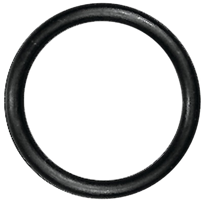 Alternate view