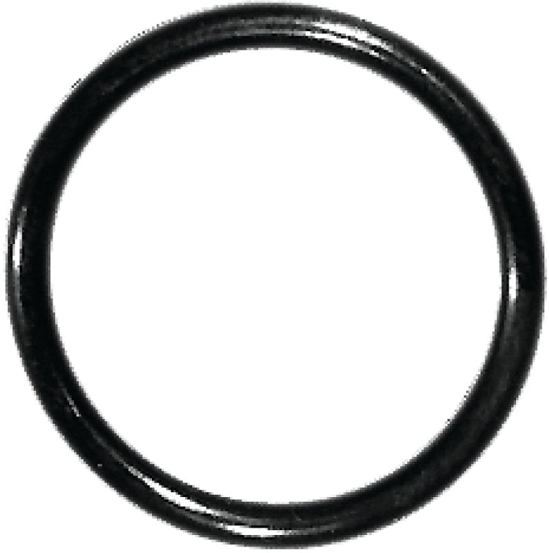 Alternate view