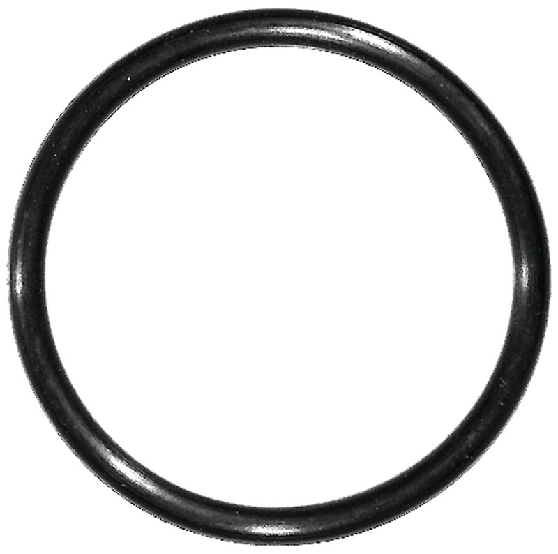 Alternate view