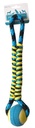 Alternate view