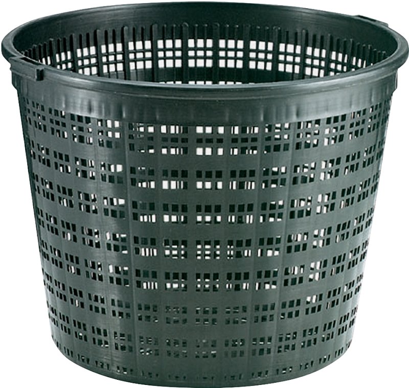 Alternate view