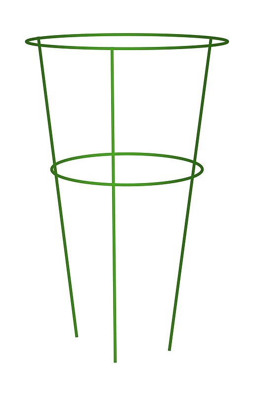 Alternate view