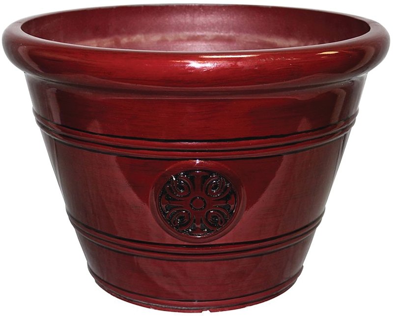 Alternate view