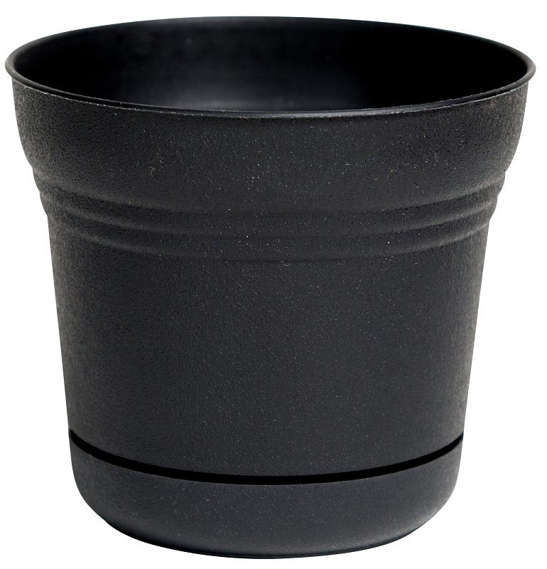 Alternate view