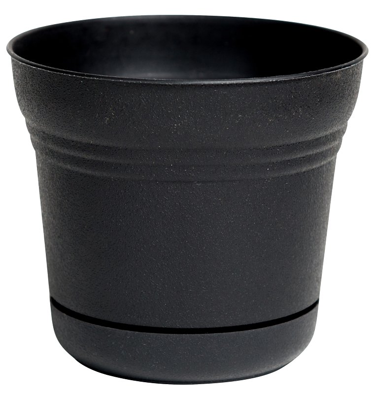 Alternate view