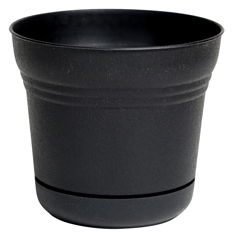 Alternate view