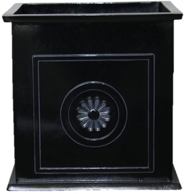 Alternate view