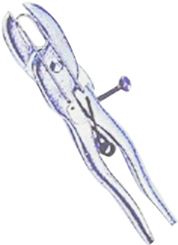 Alternate view