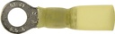 Alternate view