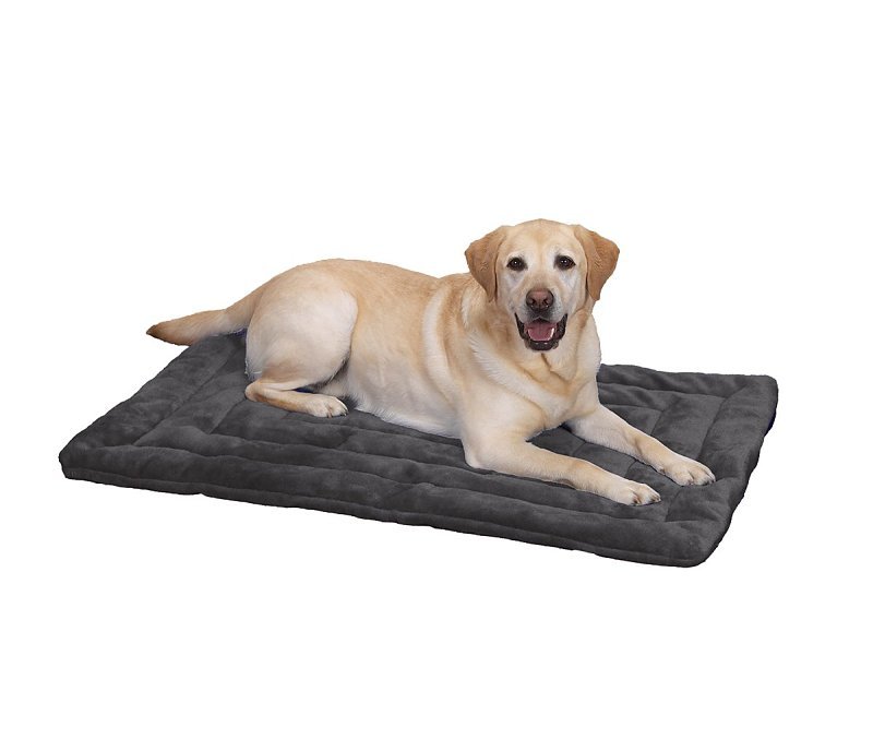 Alternate view