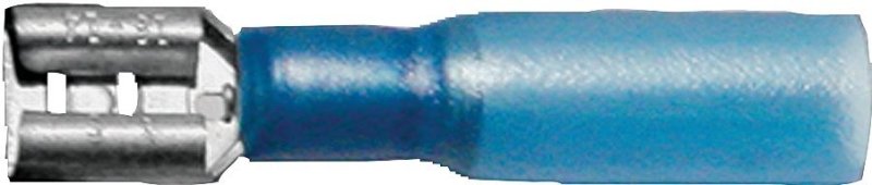 Alternate view