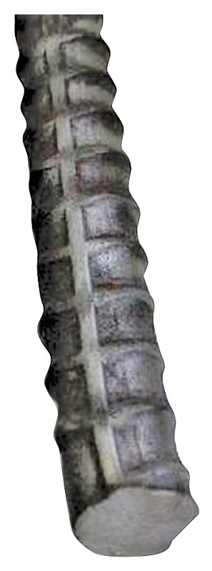 Alternate view
