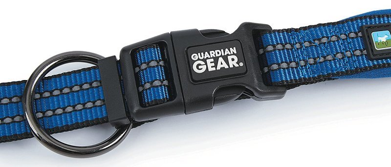 Alternate view