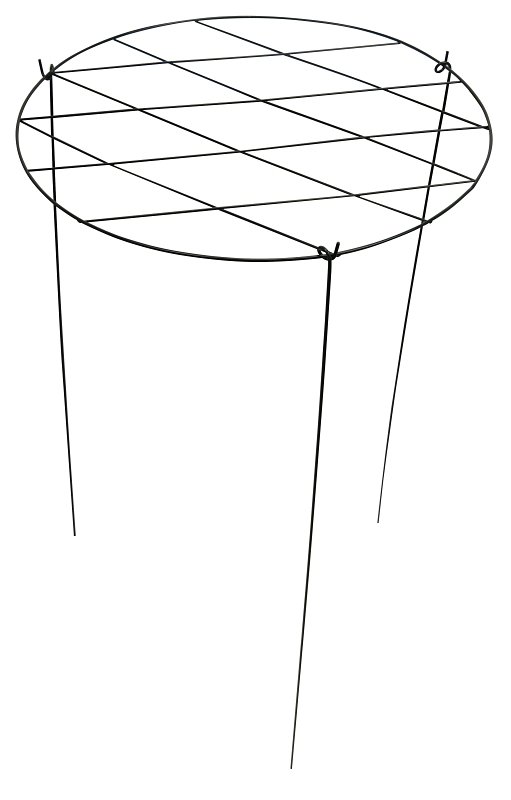 Alternate view