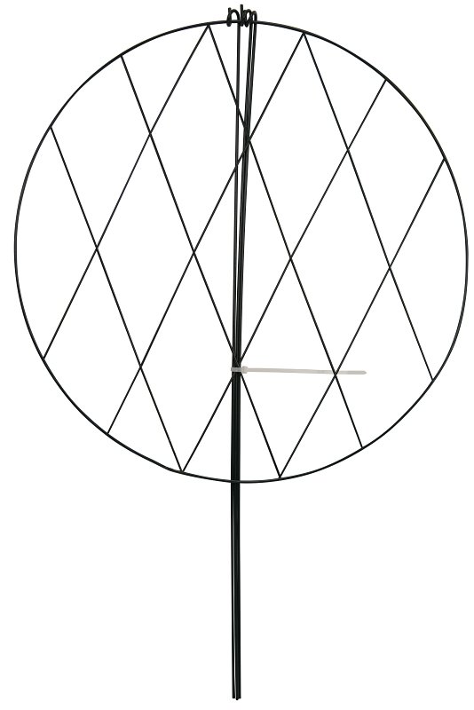 Alternate view