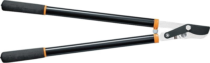 Alternate view