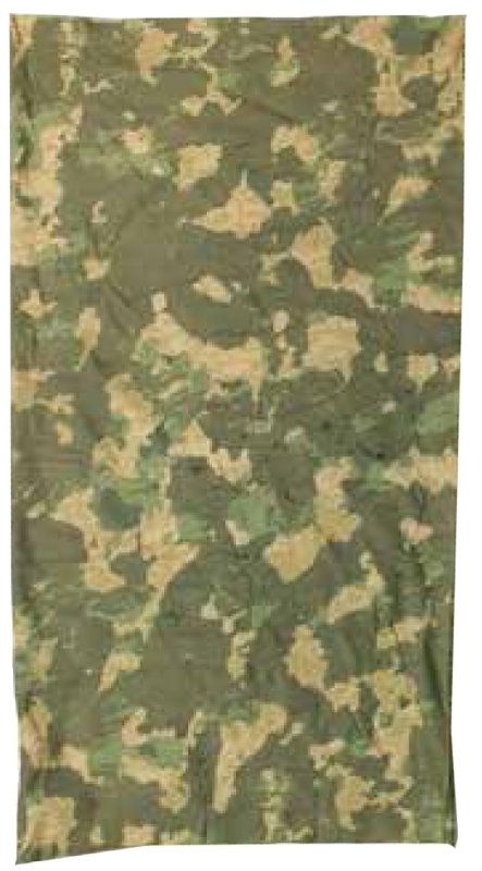 Alternate view