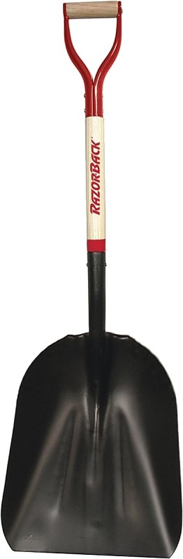 Alternate view