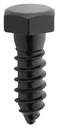 Alternate view