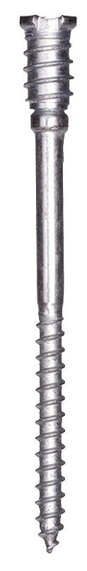 Alternate view