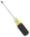 Alternate view