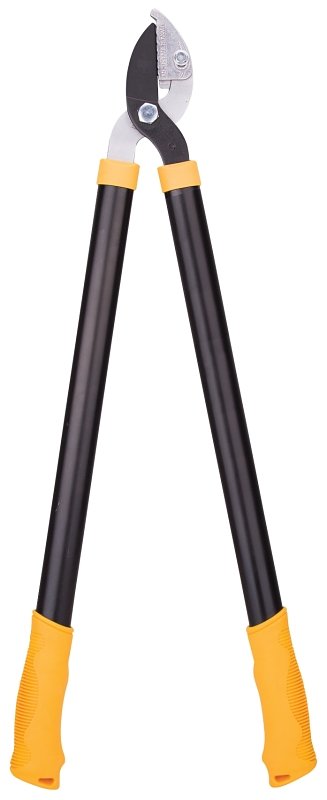 Alternate view