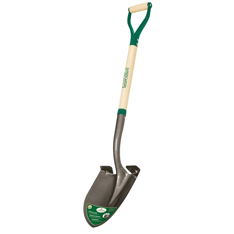 Alternate view