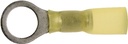 Alternate view