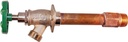 Alternate view