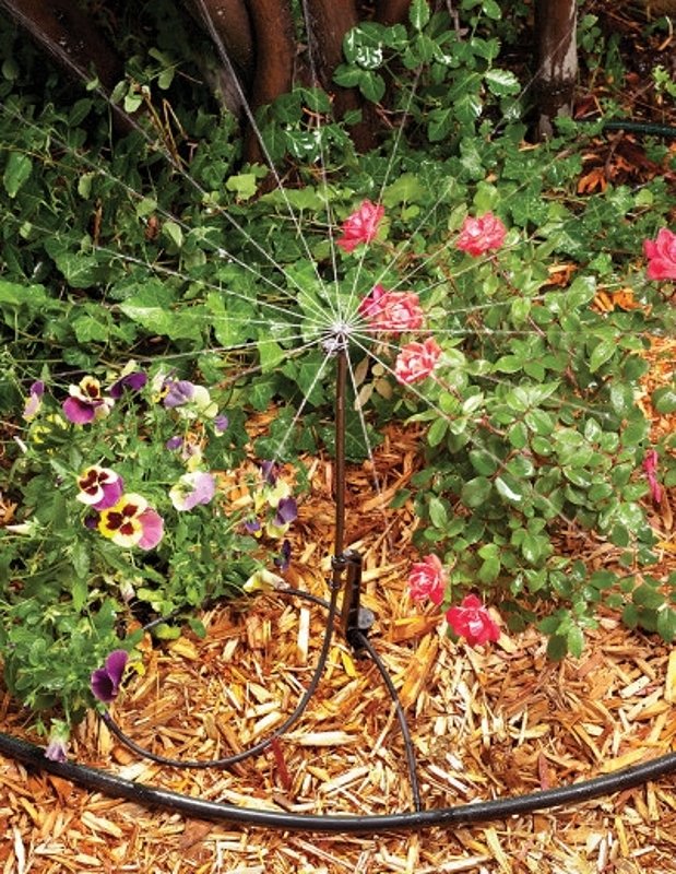 Alternate view