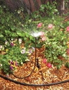 Alternate view