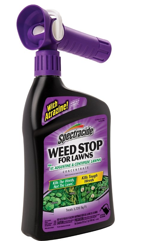 Alternate view