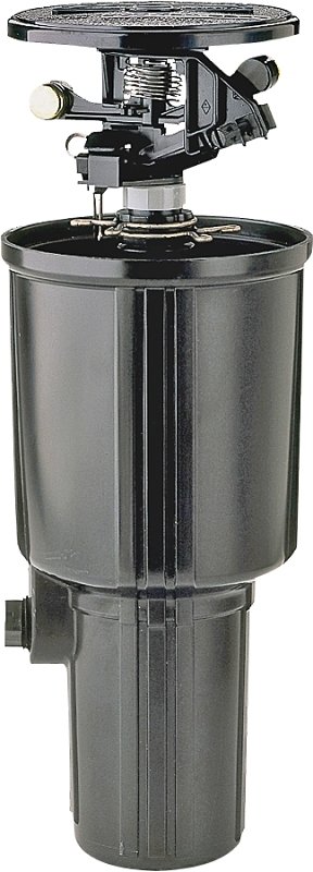 Alternate view