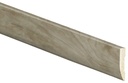 Alternate view