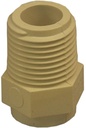 Alternate view