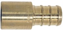 Alternate view