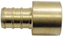 Alternate view