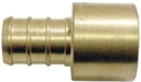 Alternate view