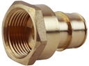 Alternate view