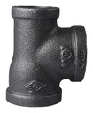 Alternate view