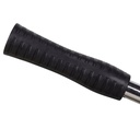 Alternate view