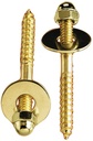 Alternate view