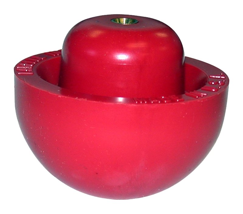 Alternate view